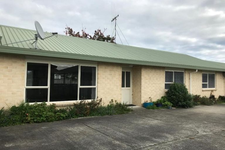 Photo of property in 61a Winchester Street, Levin, 5510