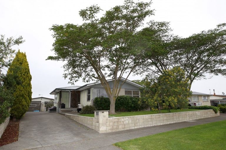 Photo of property in 58 Sunderland Drive, Flaxmere, Hastings, 4120