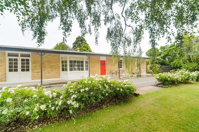 Photo of property in 273 Parewanui Road, Bulls, 4894