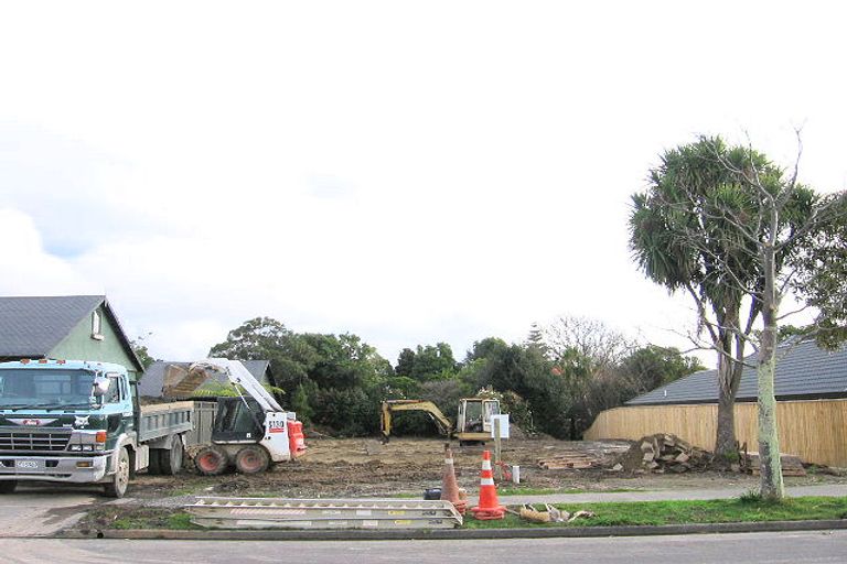 Photo of property in 8 Phoenix Avenue, Hokowhitu, Palmerston North, 4410