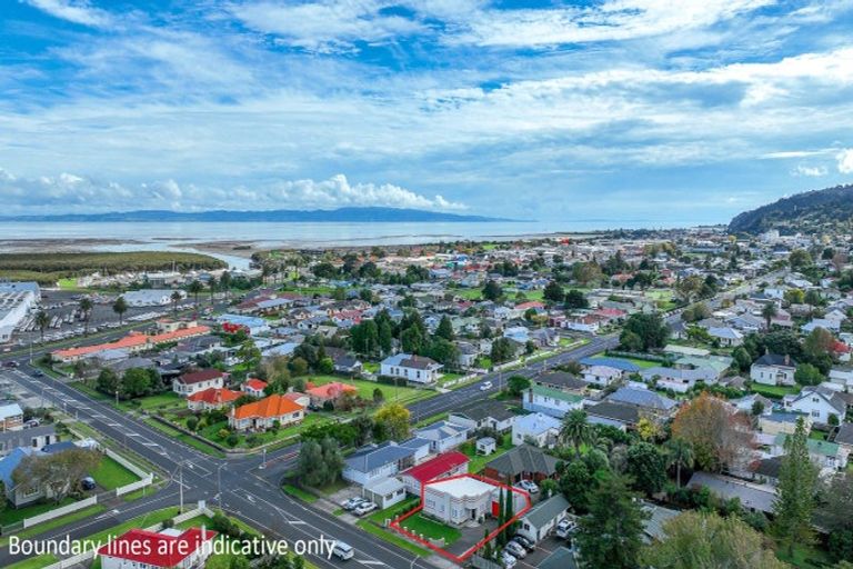 Photo of property in 203 Banks Street, Thames, 3500