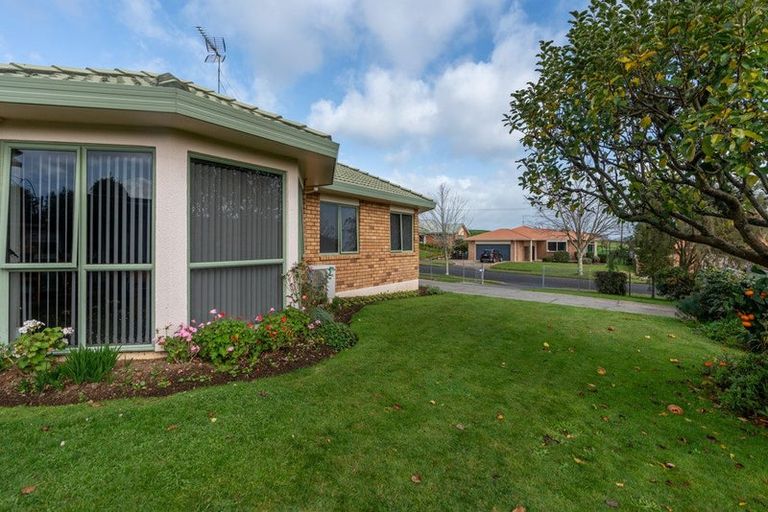 Photo of property in 265 Grandview Road, Western Heights, Hamilton, 3200