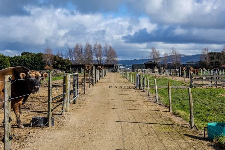 Photo of property in 80541 Masterton Road, Woodville, 4999