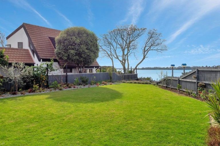 Photo of property in 23 Vine Avenue, Maungatapu, Tauranga, 3112