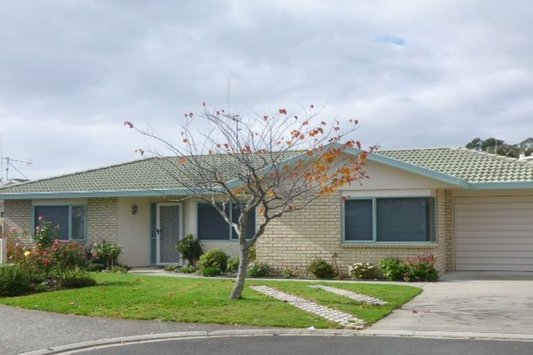 Photo of property in 37 Aaron Place, Brookfield, Tauranga, 3110