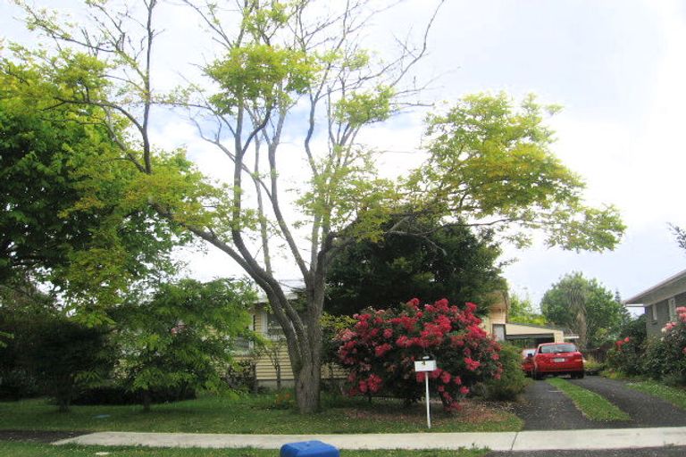 Photo of property in 4 Paterson Avenue, Pukekohe, 2120