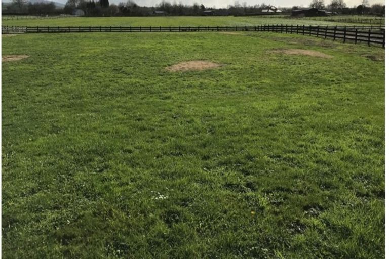 Photo of property in 24 Eldonwood Drive, Matamata, 3400