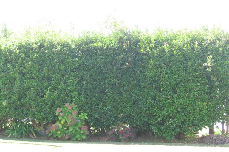 Photo of property in 47 Gulf View Road, Murrays Bay, Auckland, 0630