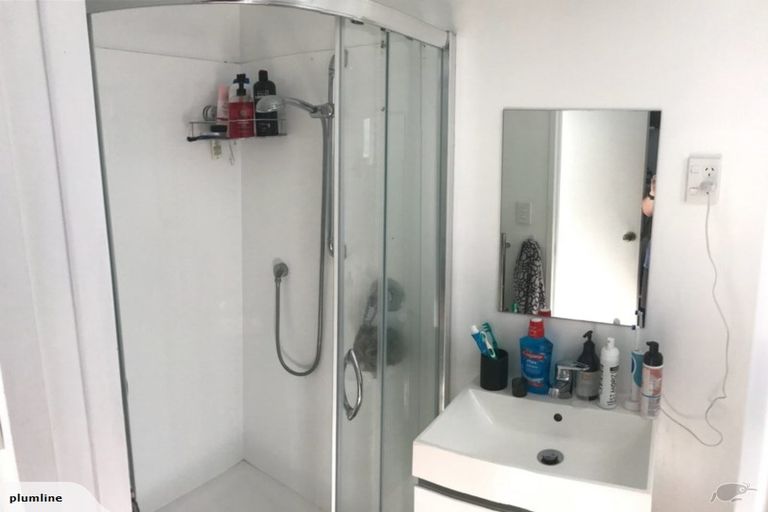 Photo of property in 96 Elizabeth Street, Mount Victoria, Wellington, 6011