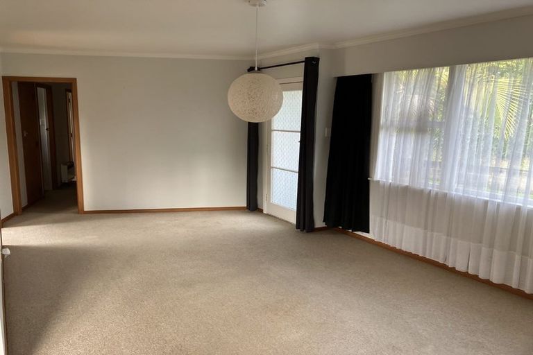 Photo of property in 59 Mahoe Street, Melville, Hamilton, 3206