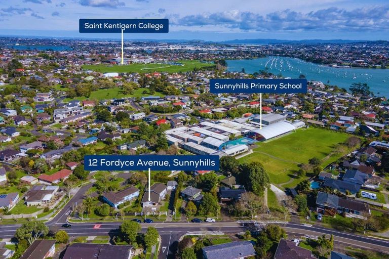 Photo of property in 12 Fordyce Avenue, Sunnyhills, Auckland, 2010