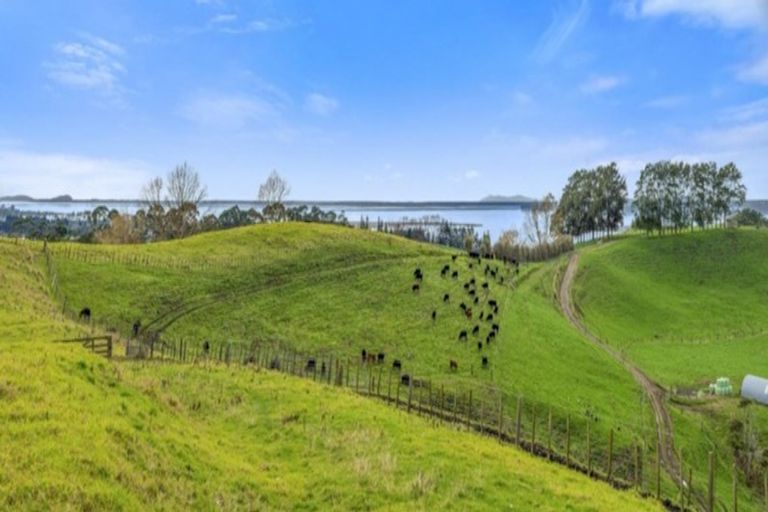 Photo of property in 76 Stewart Road, Whakamarama, Katikati, 3181