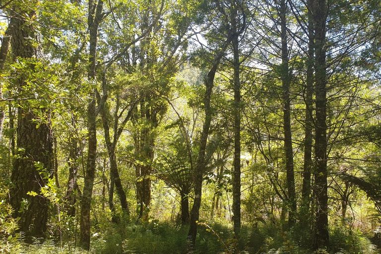 Photo of property in 202 Upland Road, Aongatete, Katikati, 3181