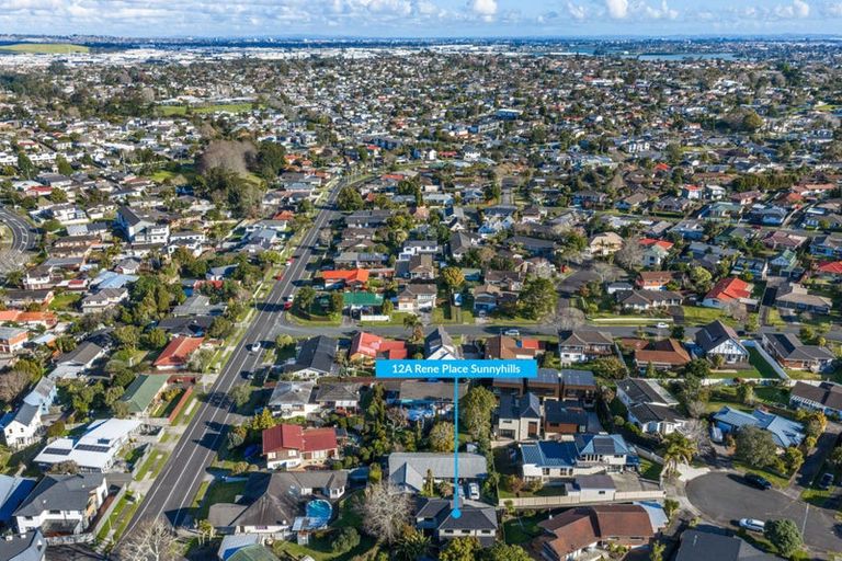Photo of property in 12a Rene Place, Sunnyhills, Auckland, 2010