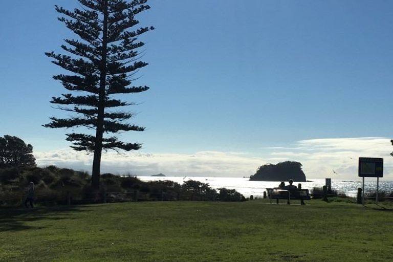 Photo of property in 20 Terrace Avenue, Mount Maunganui, 3116