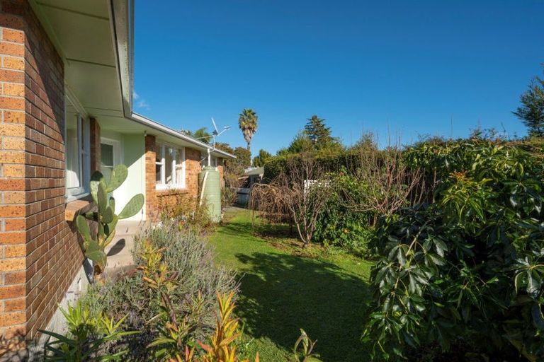 Photo of property in 289 Chadwick Road, Gate Pa, Tauranga, 3112