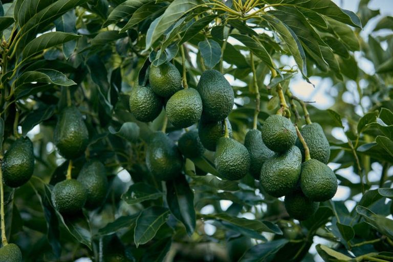 Photo of property in 6 Woodland Road, Johnsonville, Wellington, 6037