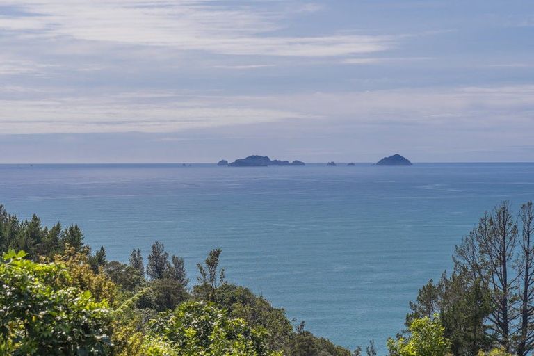 Photo of property in 131 Pumpkin Hill Road, Pumpkin Hill, Whitianga, 3591