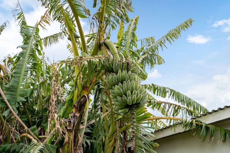 Photo of property in 458 Pukehuia Road, Tangiteroria, 0381