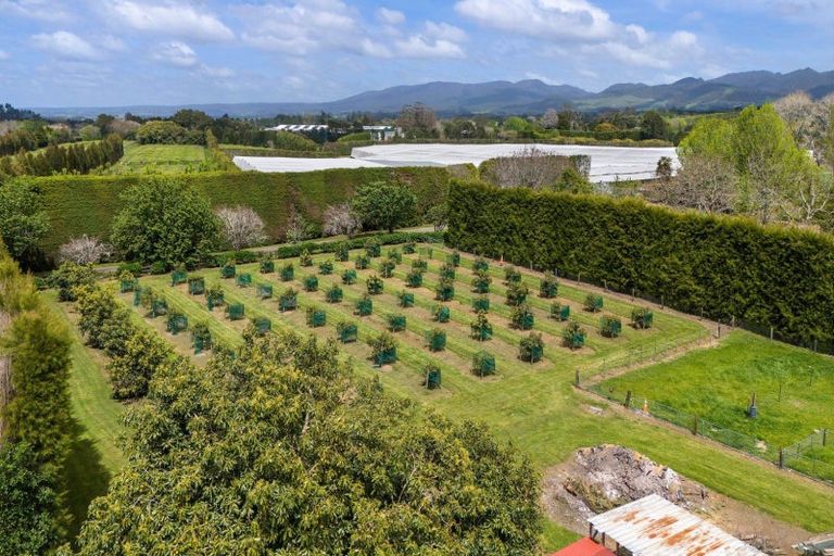 Photo of property in 19 Henry Road, Katikati, 3129