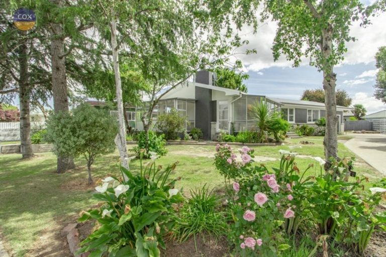 Photo of property in 39 Norwich Crescent, Tamatea, Napier, 4112