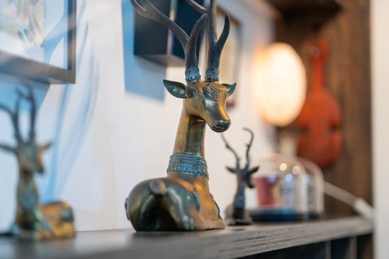 Photo of property in 10 Oxford Terrace, Mount Cook, Wellington, 6021