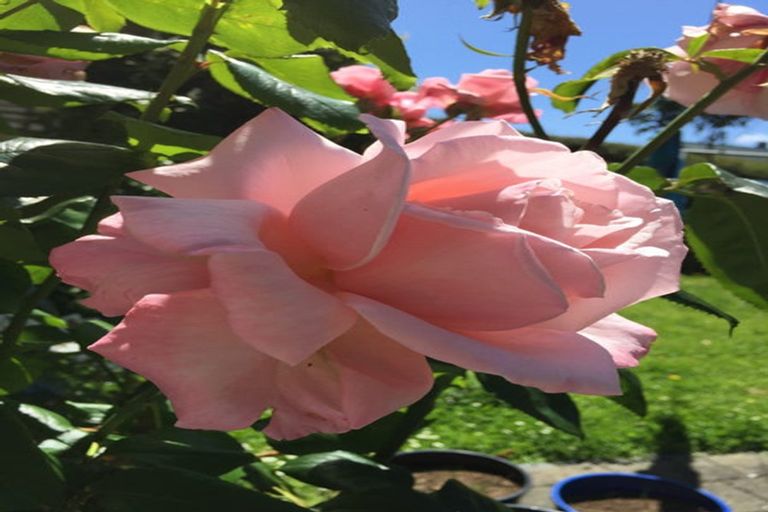 Photo of property in 6a Hart Street, Belleknowes, Dunedin, 9011