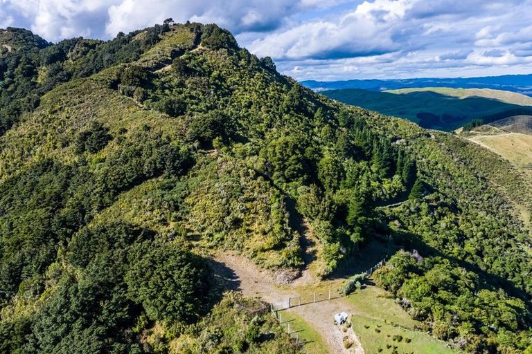 Photo of property in 814 Mikimiki Road, Mikimiki, Masterton, 5881