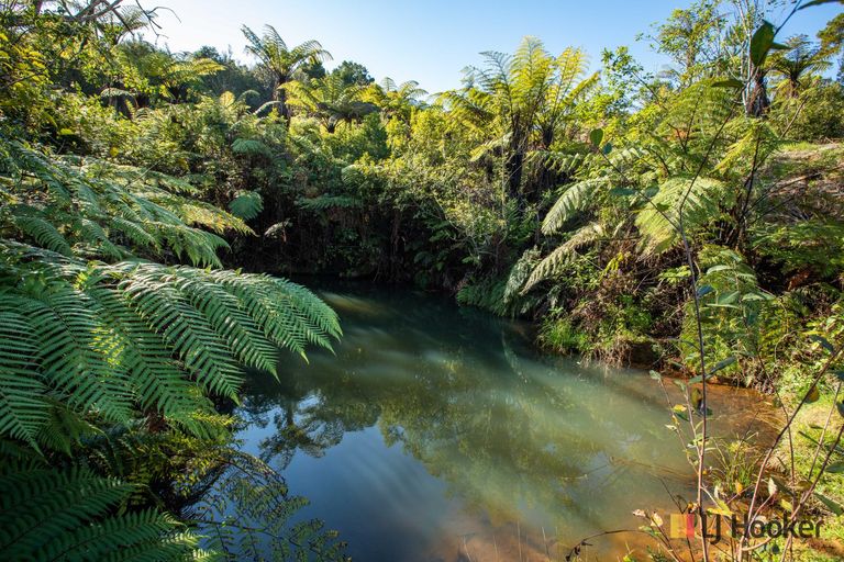 Photo of property in 166b Heard Road, Waihi, 3681