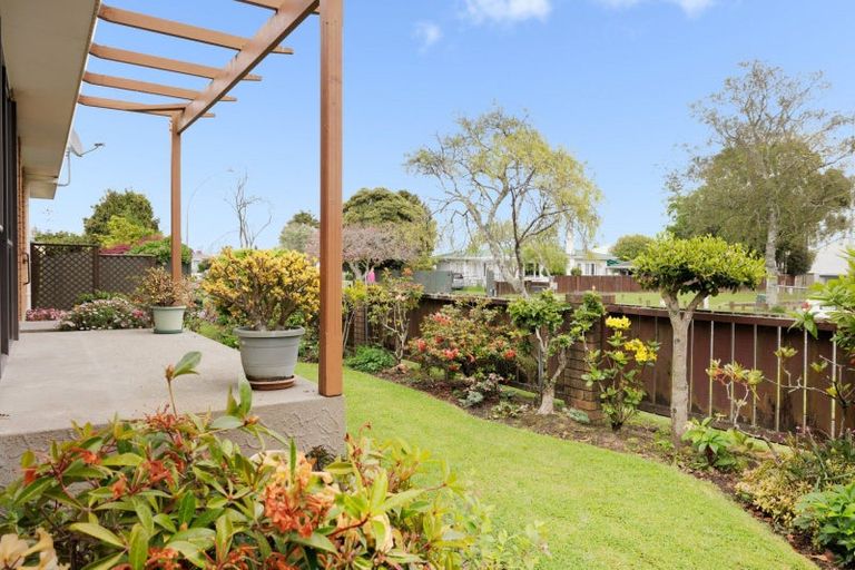 Photo of property in 20a Devon Street, Greerton, Tauranga, 3112
