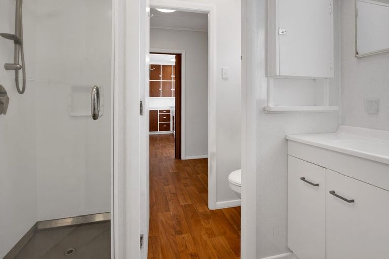 Photo of property in 102 Brecon Road, Stratford, 4332