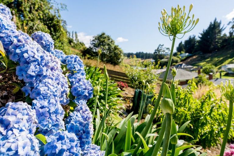 Photo of property in 27 Prosser Street, Green Island, Dunedin, 9018