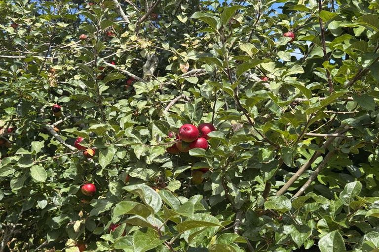 Photo of property in 287 Taurangaruru Road, Karioitahi, Waiuku, 2683