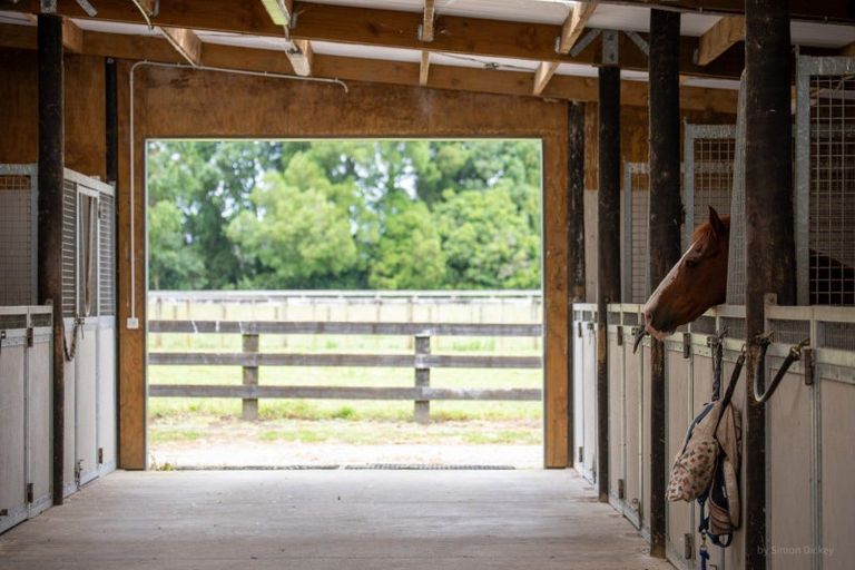 Photo of property in 626b Ngaruawahia Road, Te Kowhai, Hamilton, 3288