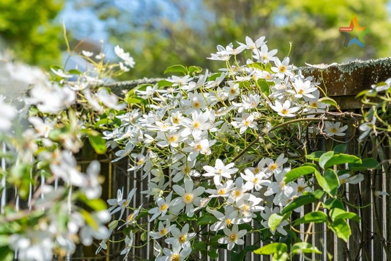 Photo of property in 63 Pretoria Street, Hutt Central, Lower Hutt, 5010