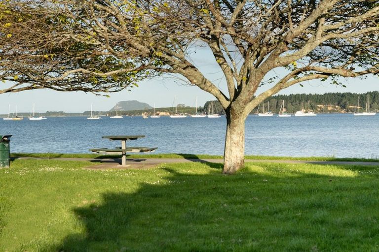 Photo of property in 18 Beach Grove, Omokoroa, 3114