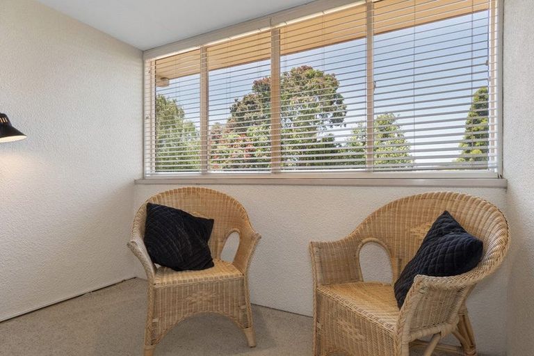 Photo of property in 14 Ninth Avenue, Tauranga, 3110