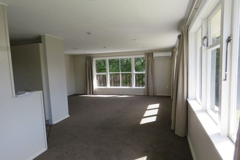 Photo of property in 42 Donegal Street, Belfast, Christchurch, 8051