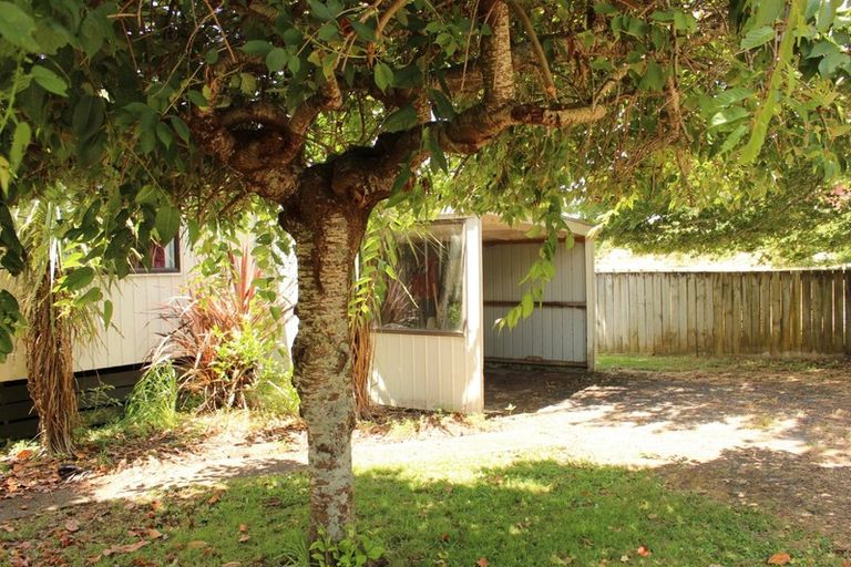 Photo of property in 12b Mangatoetoe Street, Waihi, 3610