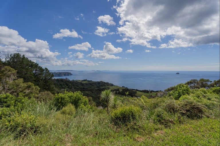 Photo of property in 425d Boat Harbour Road, Whenuakite, Whitianga, 3591