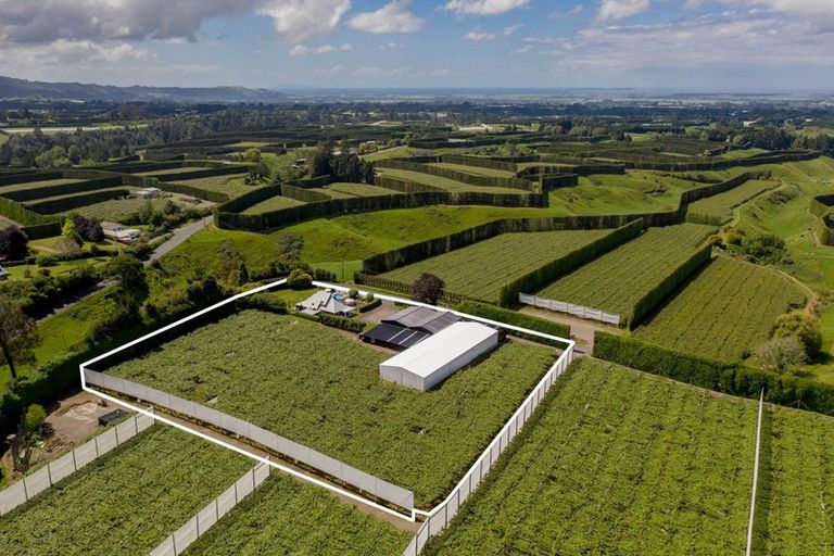 Photo of property in 36 Reeves Road, Te Ranga, Te Puke, 3188