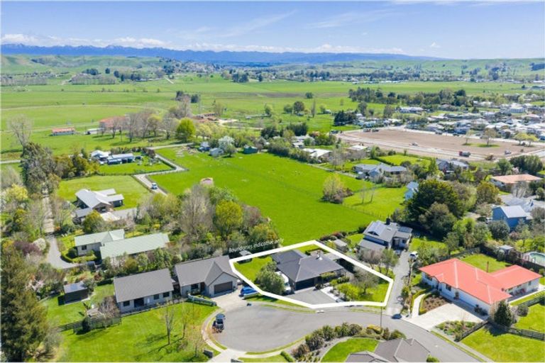 Photo of property in 14 Brooker Place, Waipukurau, 4200