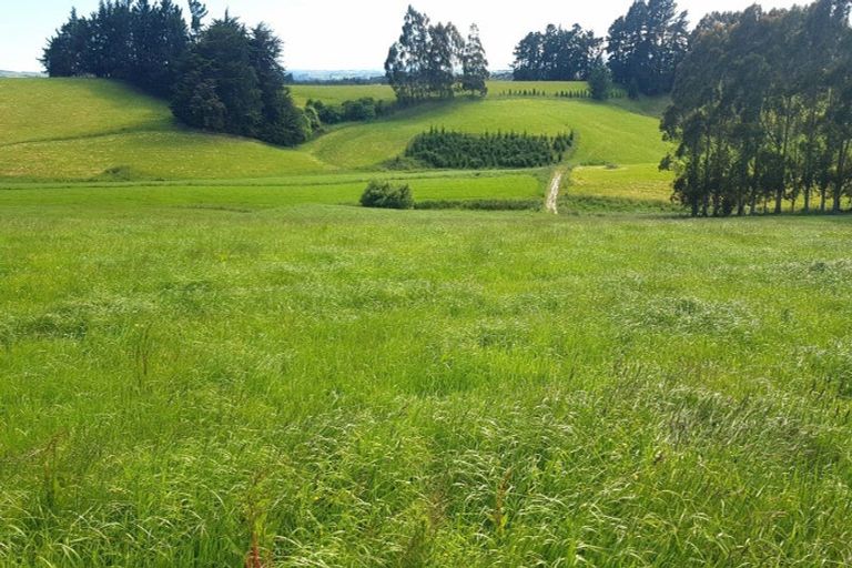 Photo of property in 31 Windy Ridge Road, Benhar, Balclutha, 9272