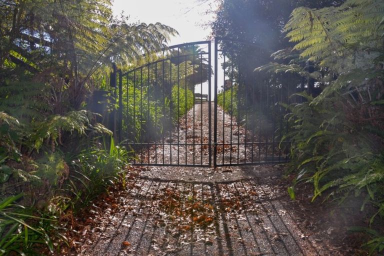 Photo of property in 246 Lonely Track Road, Dairy Flat, 0632