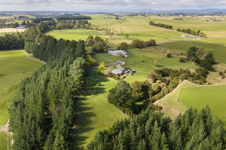 Photo of property in 285 Forlong Road, Colyton, Feilding, 4775