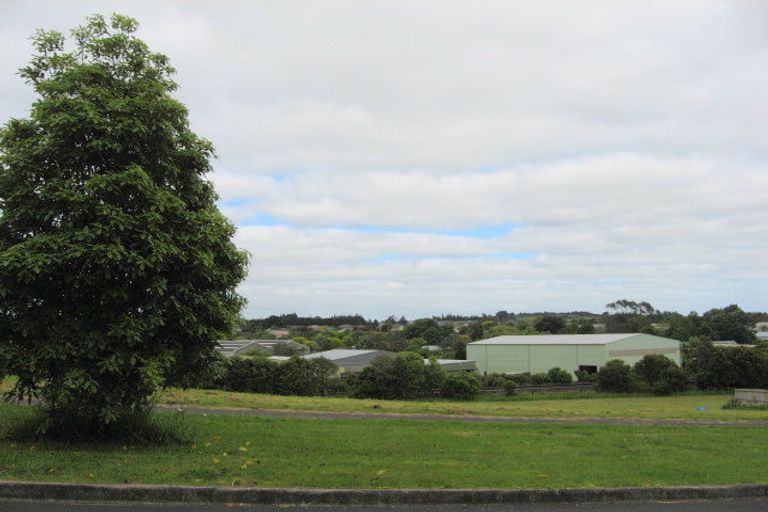 Photo of property in 19 Totara Avenue, Pukekohe, 2120