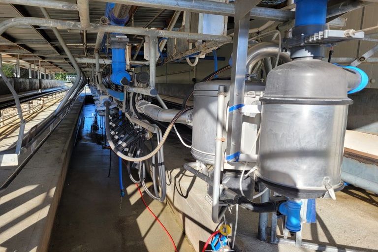 Photo of property in 55 Smiths Road, Matua, Tauranga, 3110