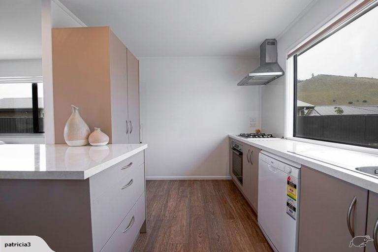 Photo of property in 46 Perriam Place, Mount Pisa, Cromwell, 9383