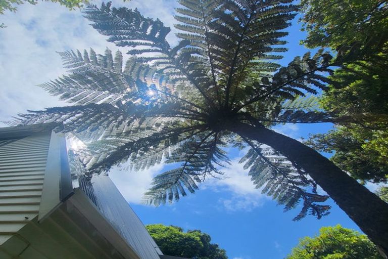 Photo of property in 64 Norway Street, Aro Valley, Wellington, 6012