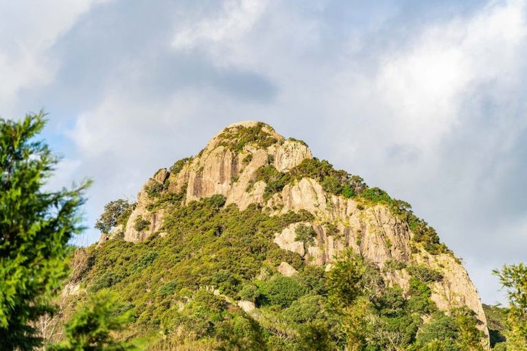 Photo of property in 44 Darch Point Road, Whangarei Heads, Whangarei, 0174